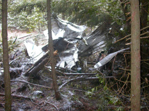 Photo of the airplane wreckage near St. Ignace, Michigan.